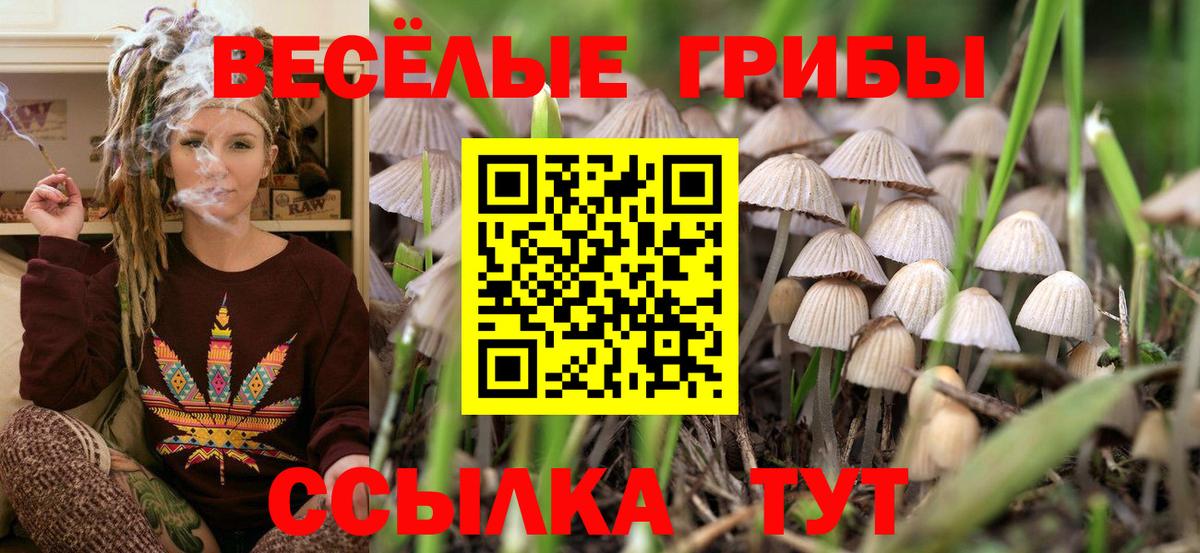 Псилоцибиновые грибы ЛСД Гурьевск